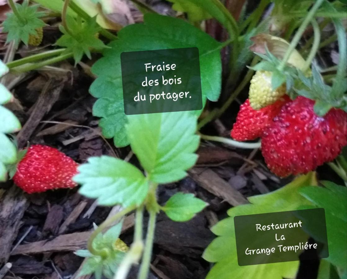 Bed and Breakfast La Grange Templiere 2018 Peyreleau Exterior foto